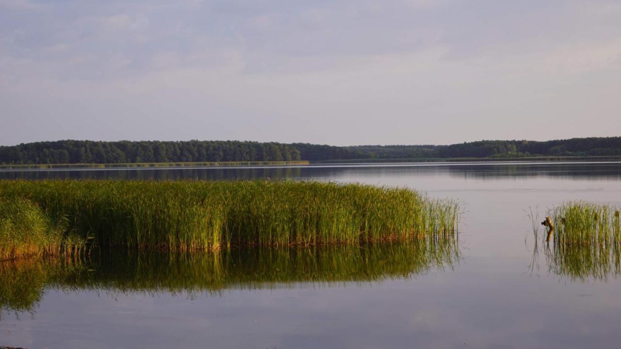 Yacht Club Apartamenty Radzyń Εξωτερικό φωτογραφία